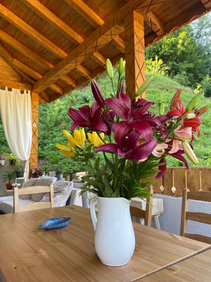 Casa Lila Bed & Breakfast Colti ภายนอก รูปภาพ